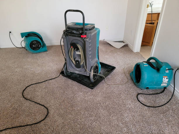 Best Sewage cleanup and water damage restoration  in Head Of The Harbor, NY