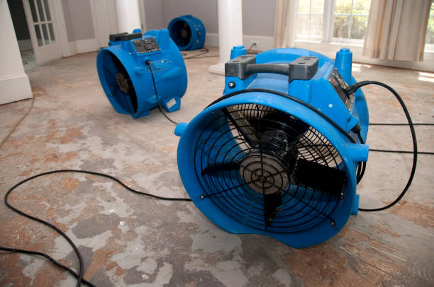 Best Fire Damage Restoration  in Head Of The Harbor, NY
