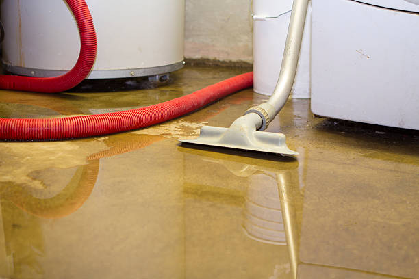 Best 24/7 water damage repair  in Head Of The Harbor, NY