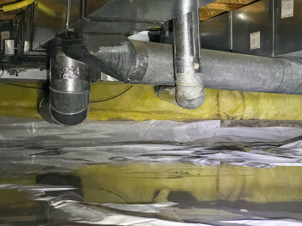 Best Mold removal after water damage  in Head Of The Harbor, NY