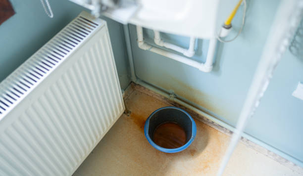 Best Mold removal after water damage  in Head Of The Harbor, NY