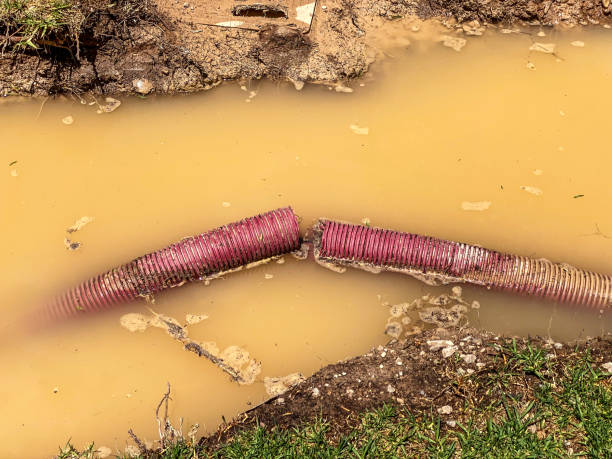 Best Flood restoration services  in Head Of The Harbor, NY