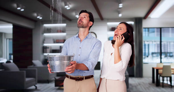 Best 24/7 water damage repair  in Head Of The Harbor, NY