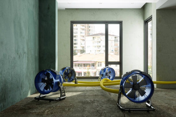 Best Carpet water damage restoration  in Head Of The Harbor, NY